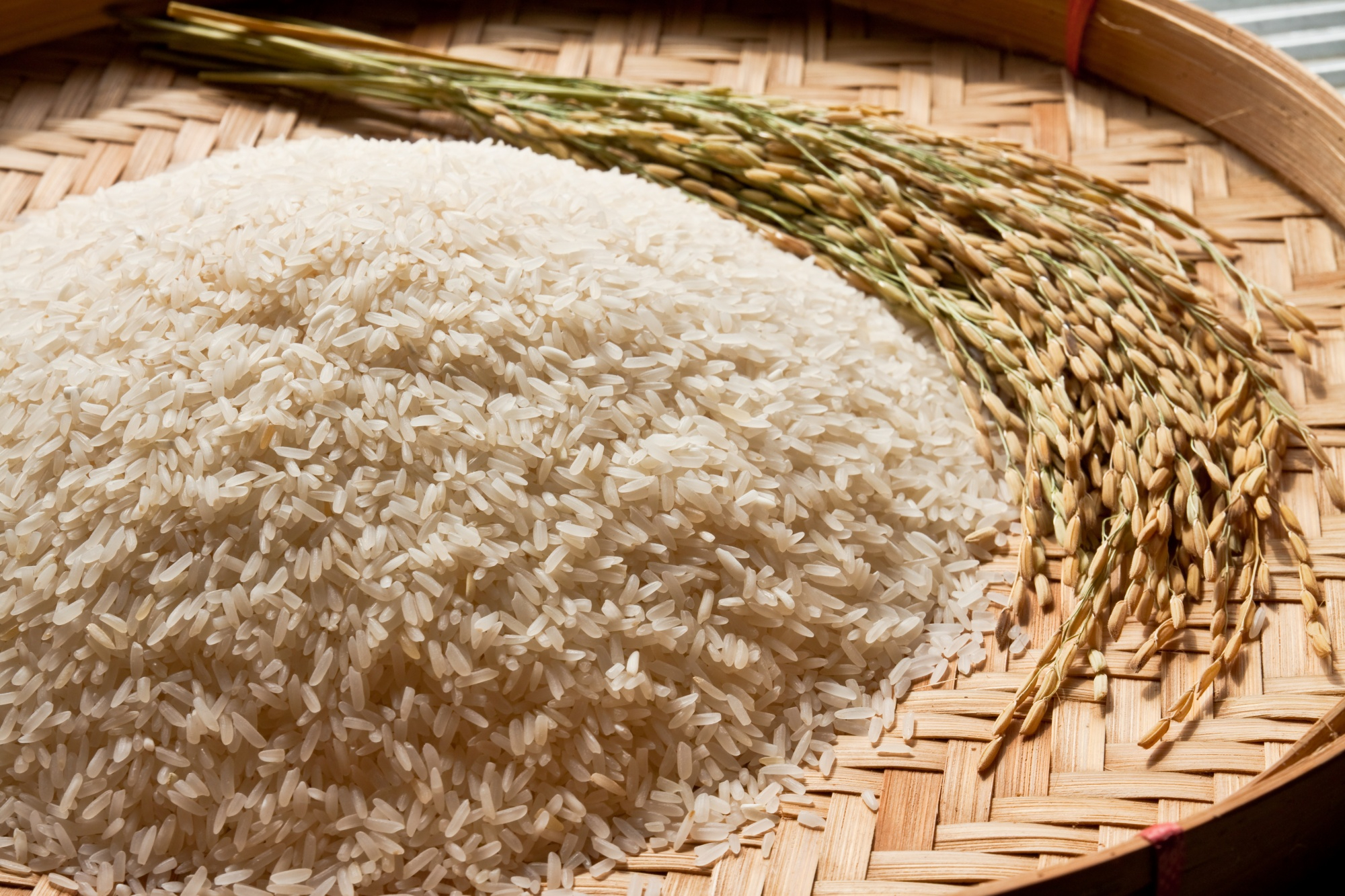 White rice grains with rice stalks in a woven basket
